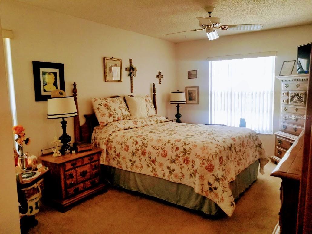 2300 SHELLY DR #C, PALM HARBOR, FL, 34684