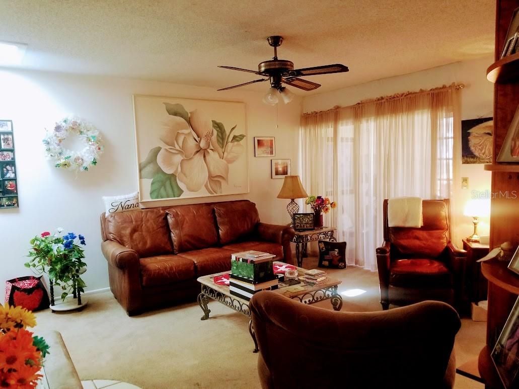 2300 SHELLY DR #C, PALM HARBOR, FL, 34684