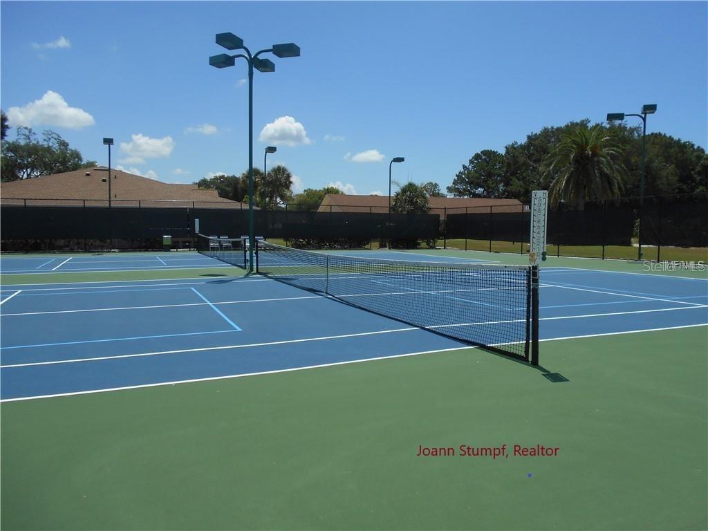 2300 SHELLY DR #C, PALM HARBOR, FL, 34684