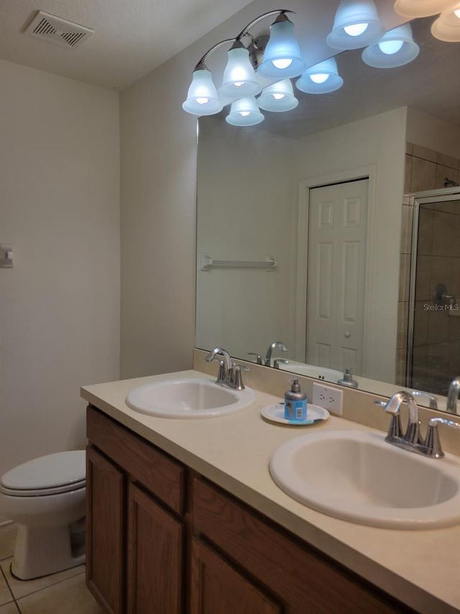 12807 GENEVA GLADE DR, RIVERVIEW, FL, 33578