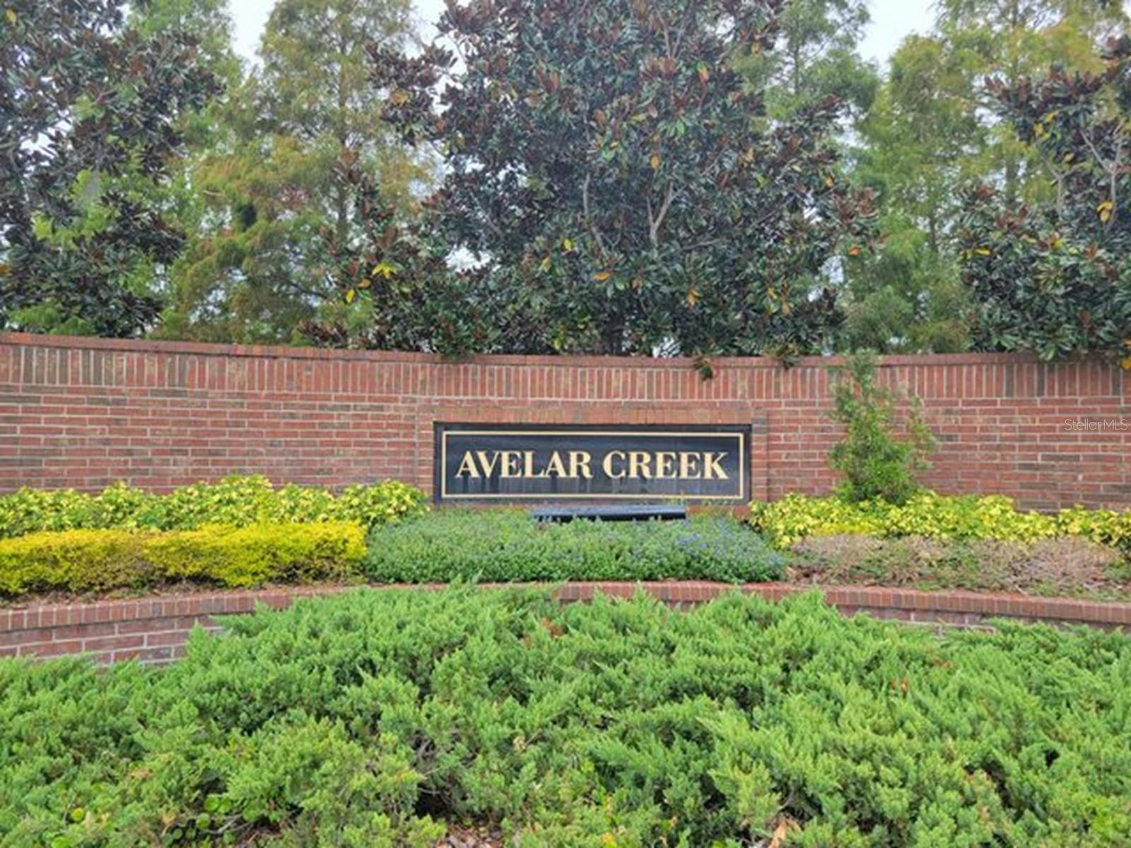 12807 GENEVA GLADE DR, RIVERVIEW, FL, 33578