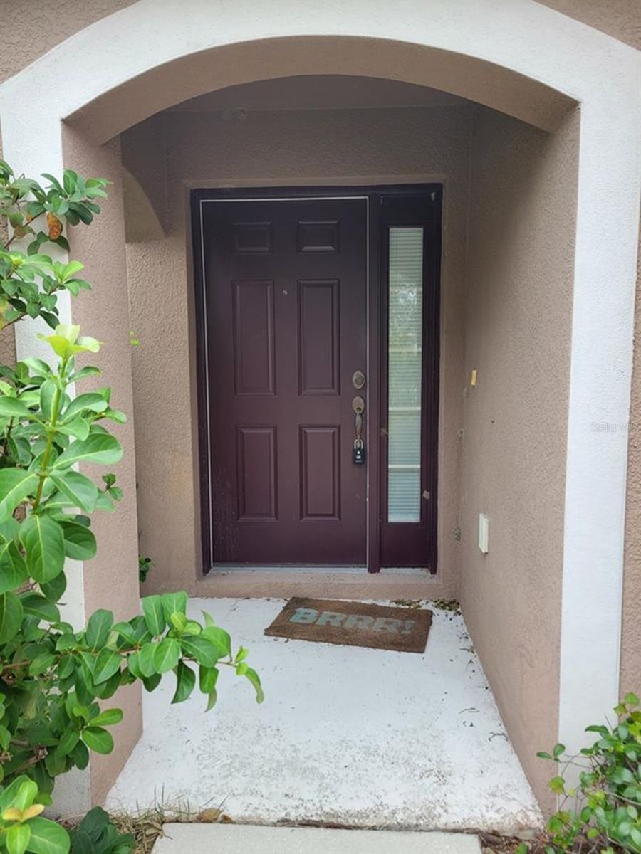 12807 GENEVA GLADE DR, RIVERVIEW, FL, 33578
