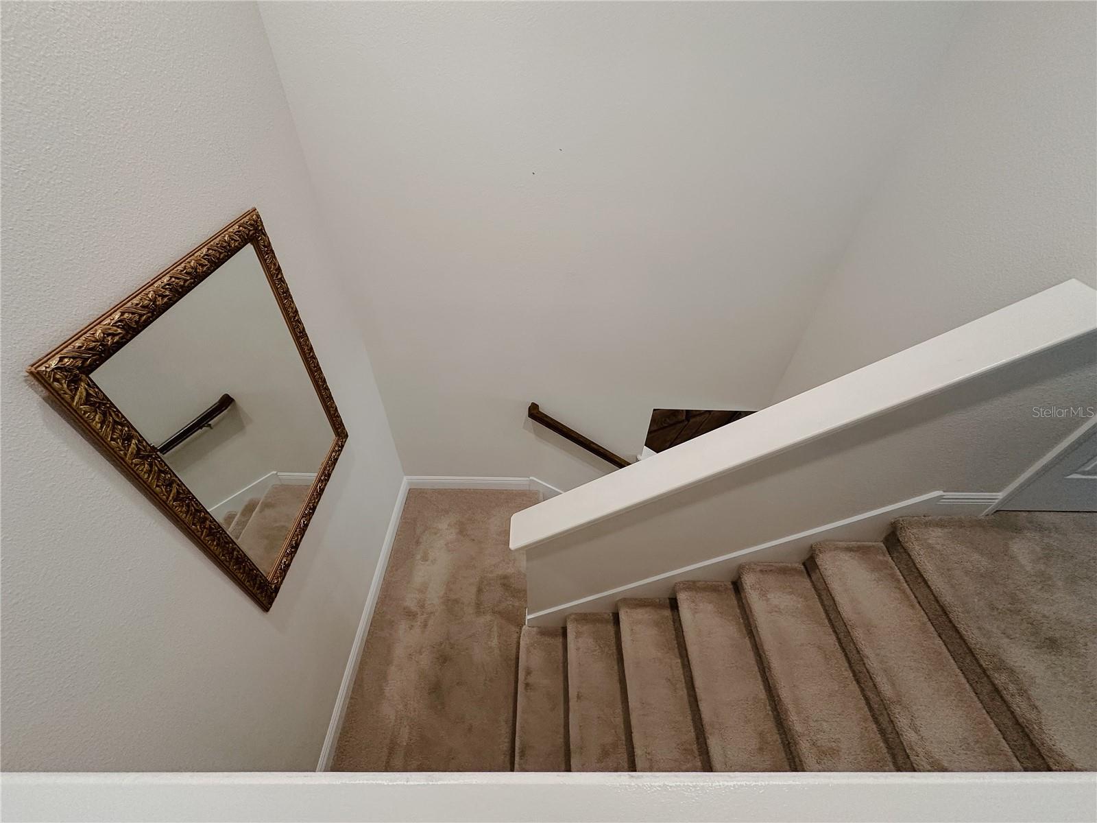 5709 CAMILA SONG LN, TAMPA, FL, 33625