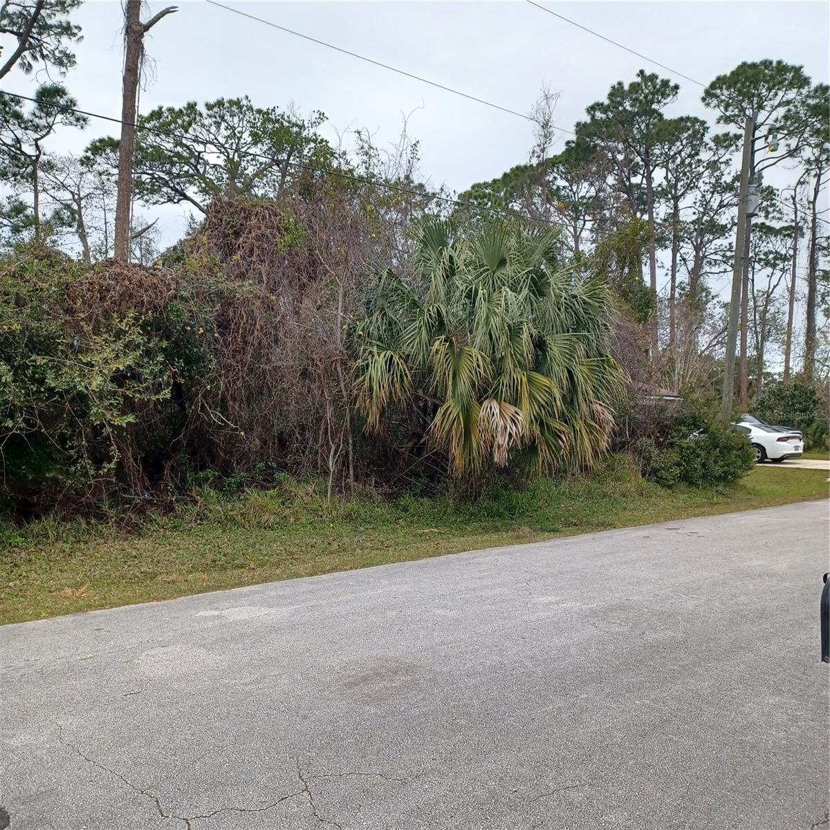 15 PEPPER LN, PALM COAST, FL, 32164