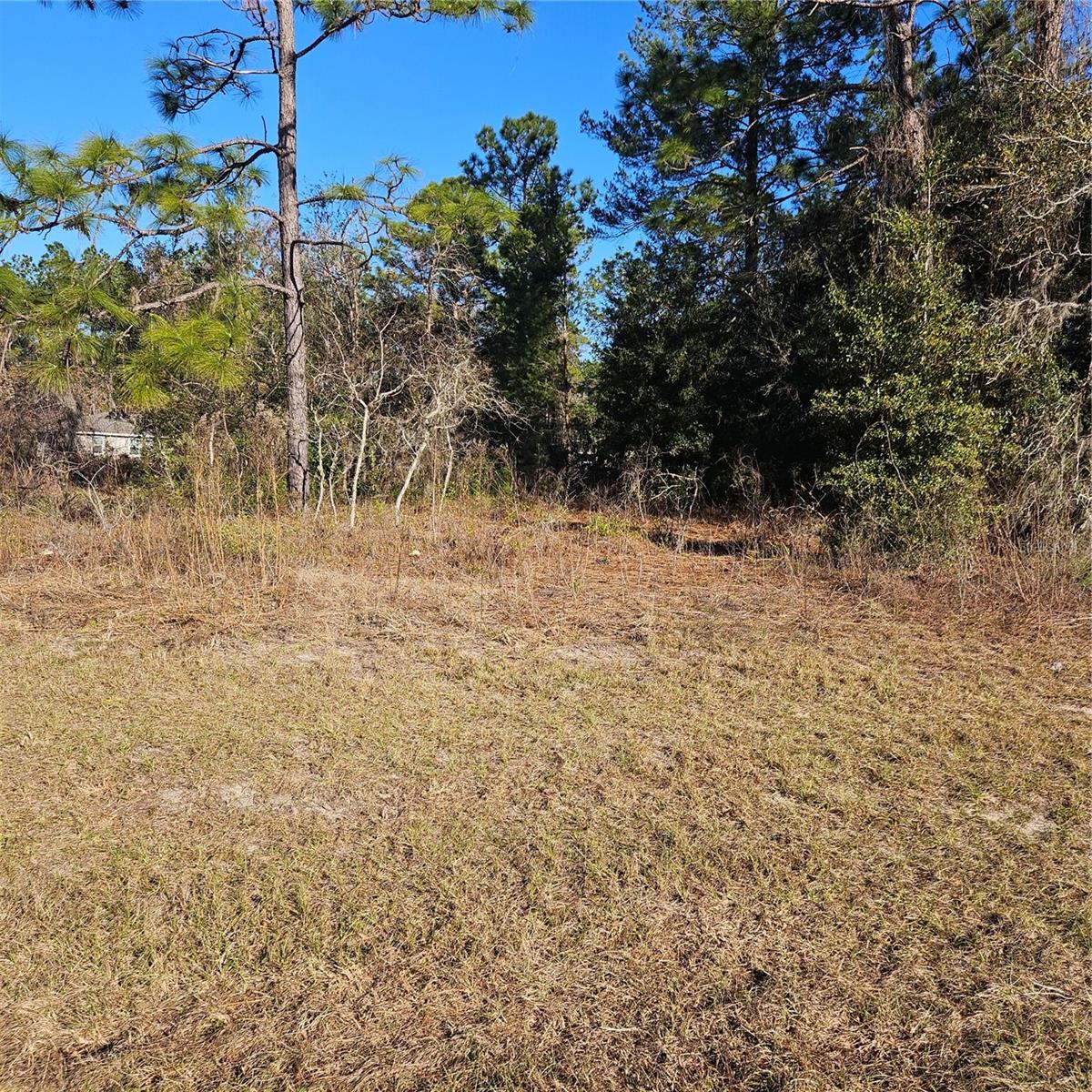 MARION OAKS UN 11, OCALA, FL, 34476