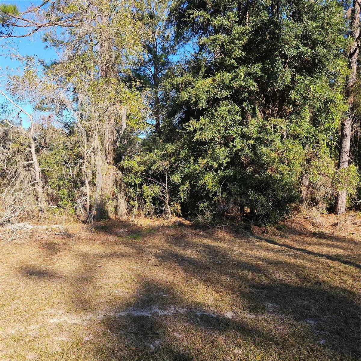 MARION OAKS UN 11, OCALA, FL, 34476