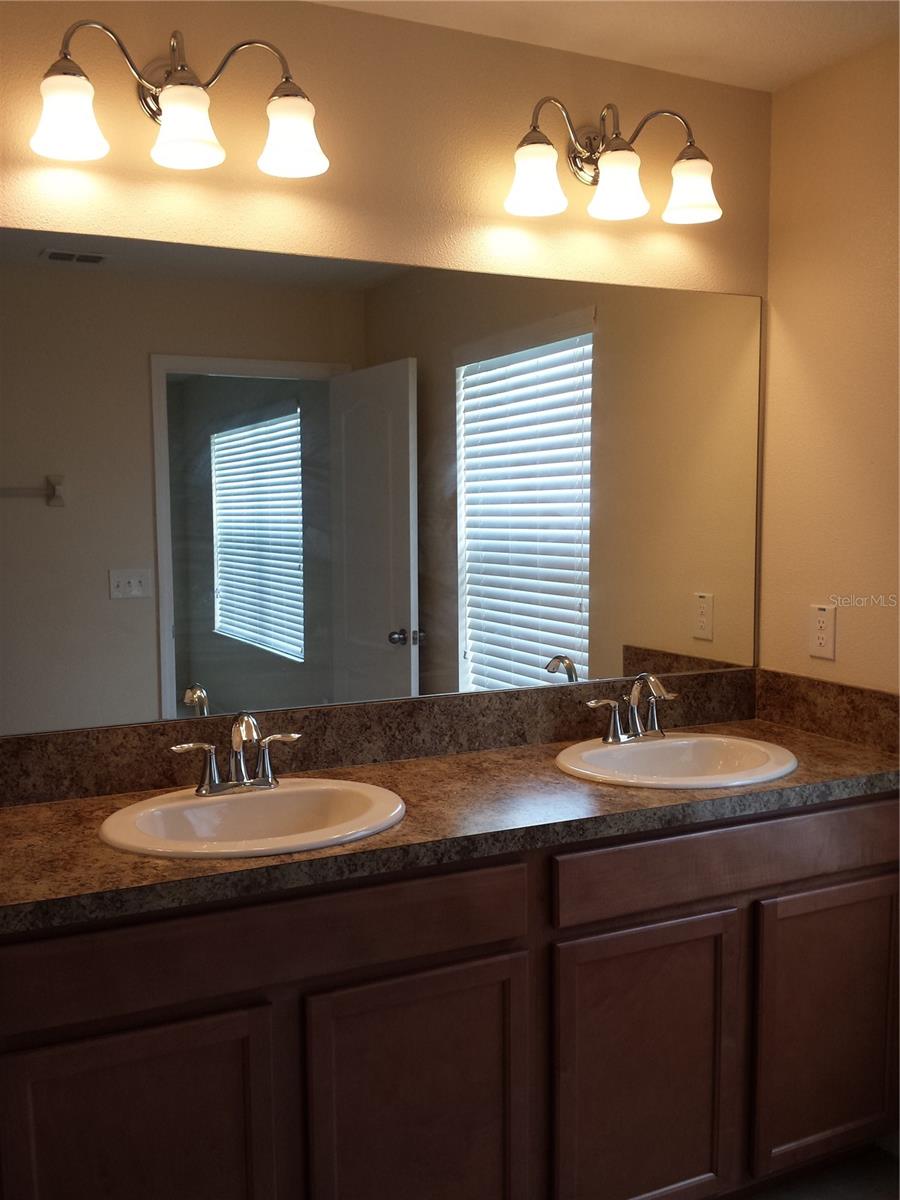 11064 SAVANNAH LANDING CIR, ORLANDO, FL, 32832