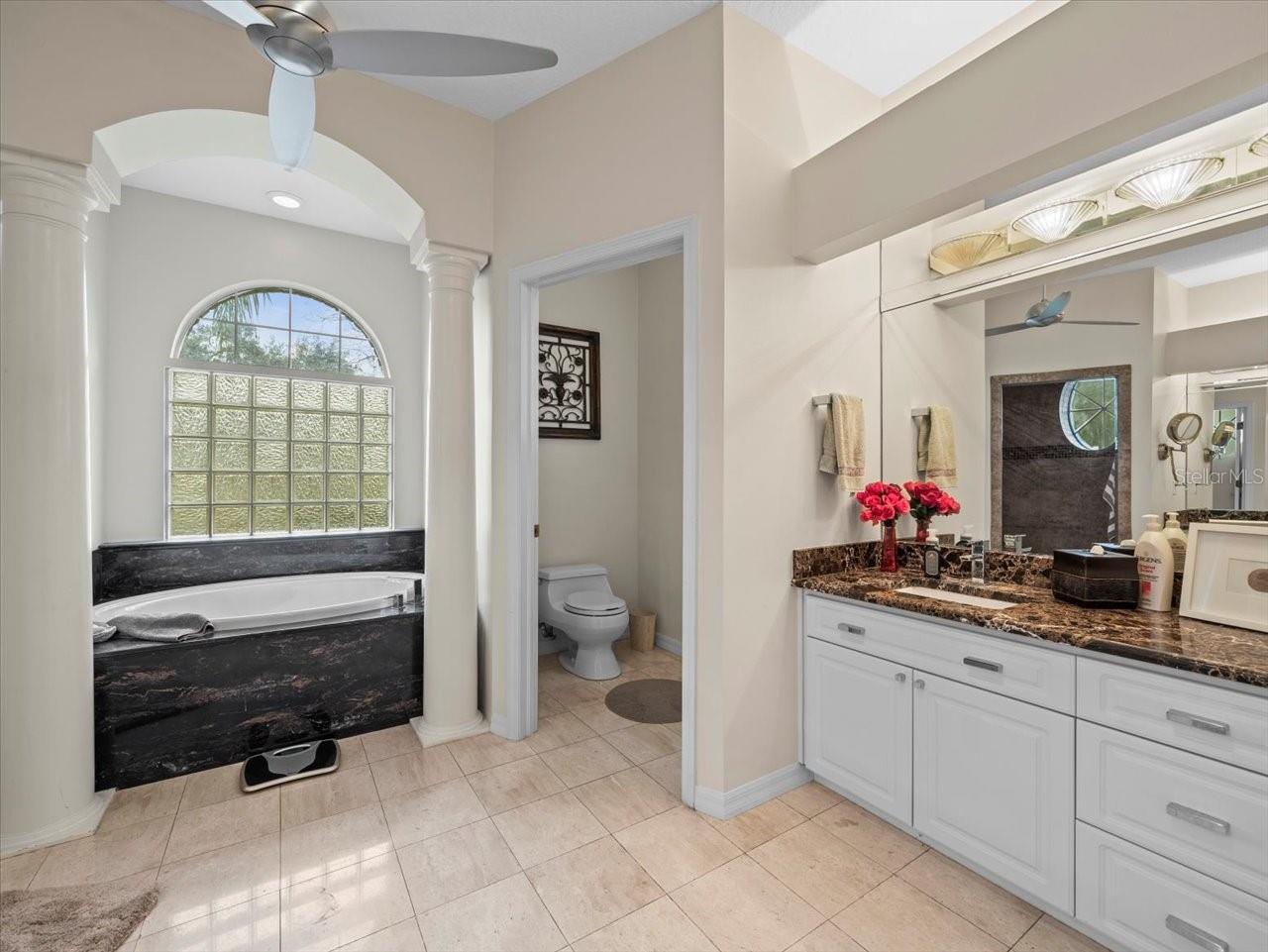 13721 MILL PL, ODESSA, FL, 33556