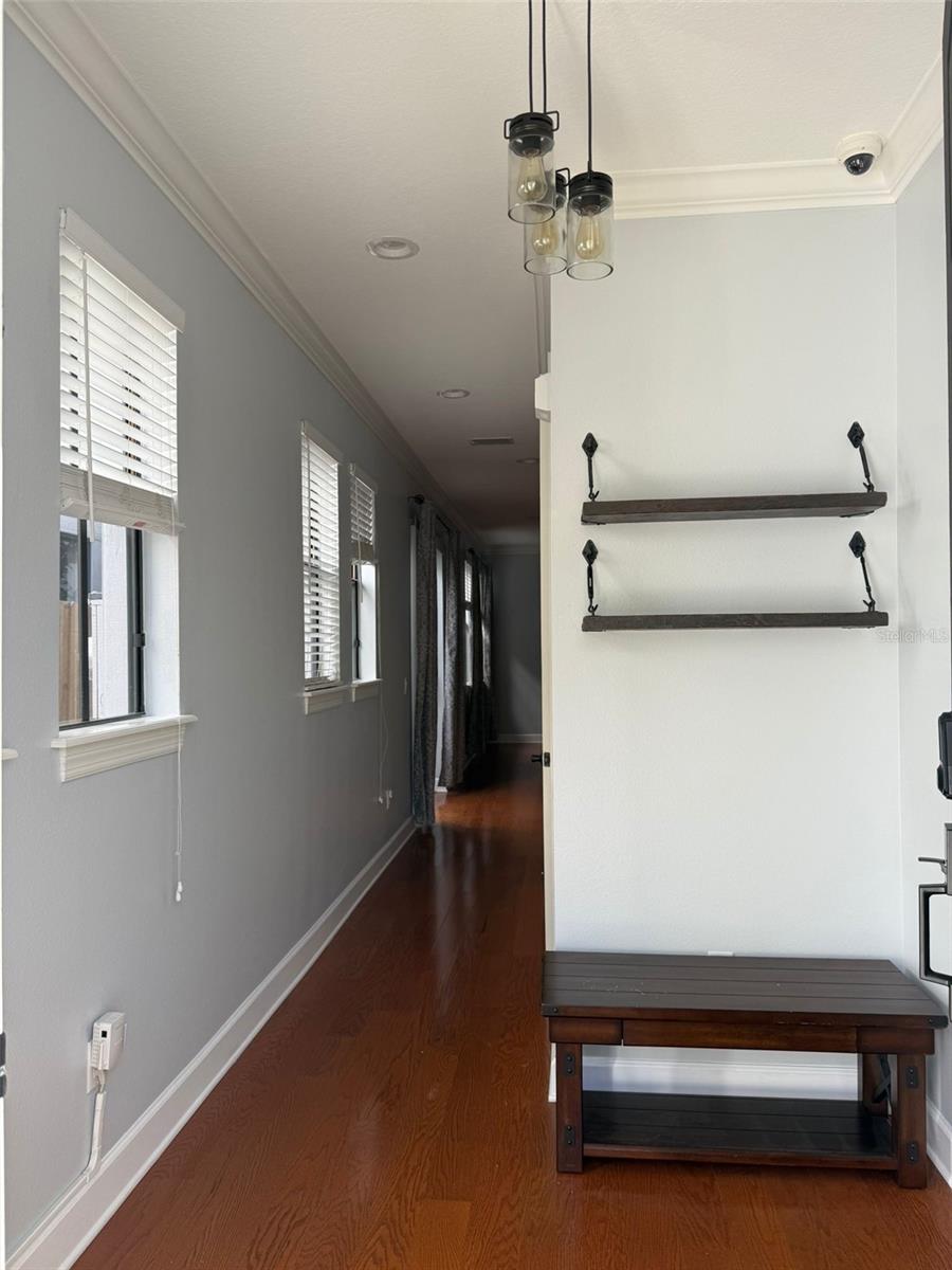 113 S PACKWOOD AVE #B, TAMPA, FL, 33606