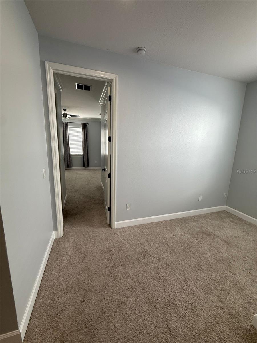 113 S PACKWOOD AVE #B, TAMPA, FL, 33606