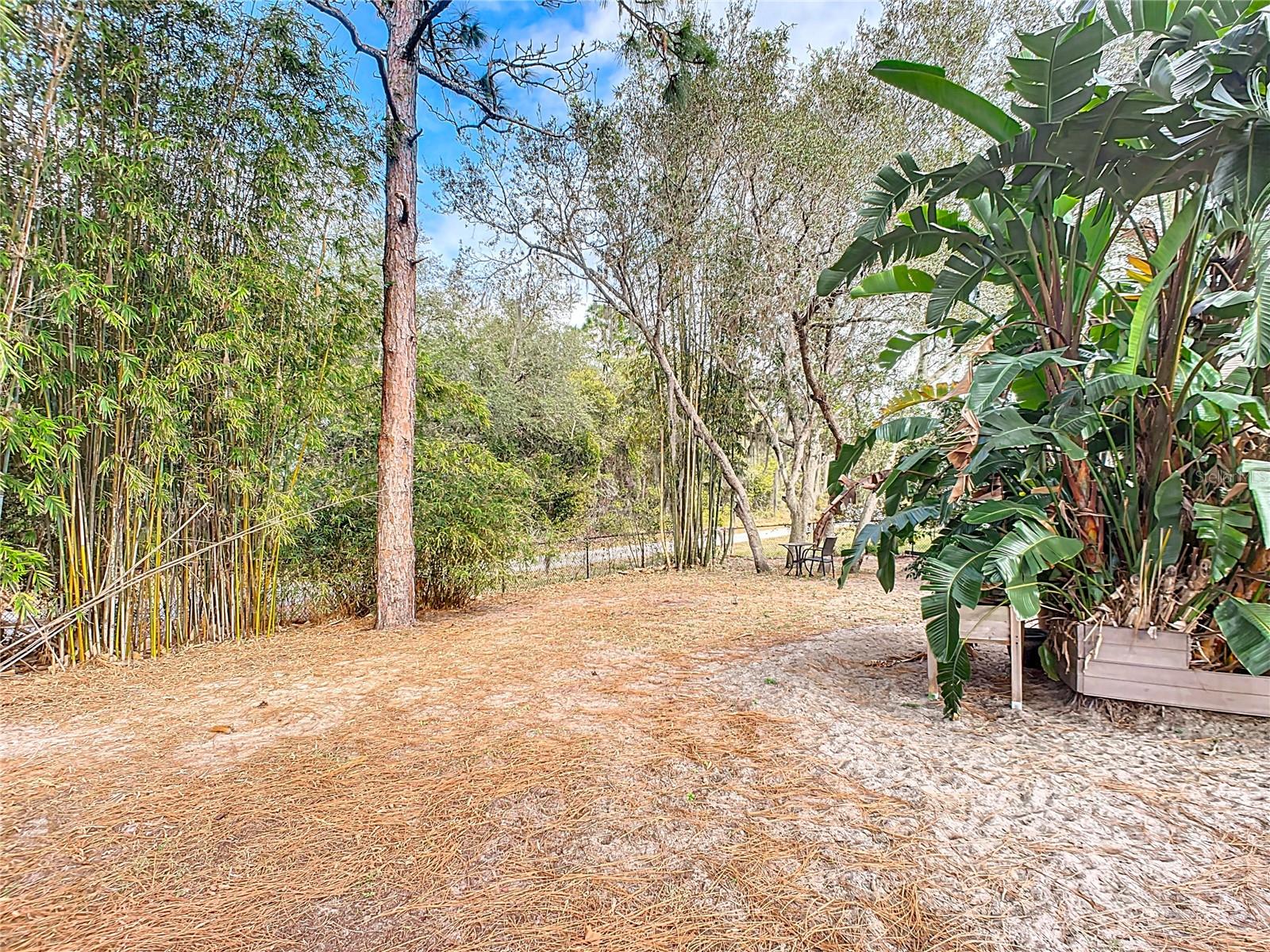 3054 SHALLOWFORD ST, DELTONA, FL, 32738