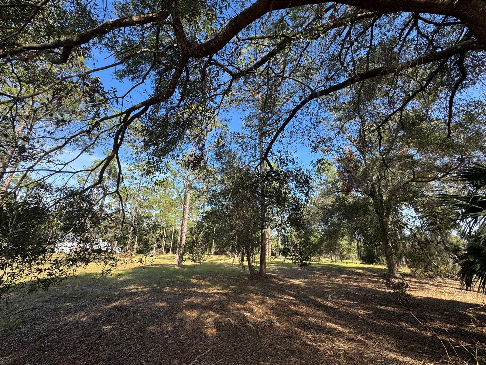 LOT 51 BOSMARA DR, GROVELAND, FL, 34736