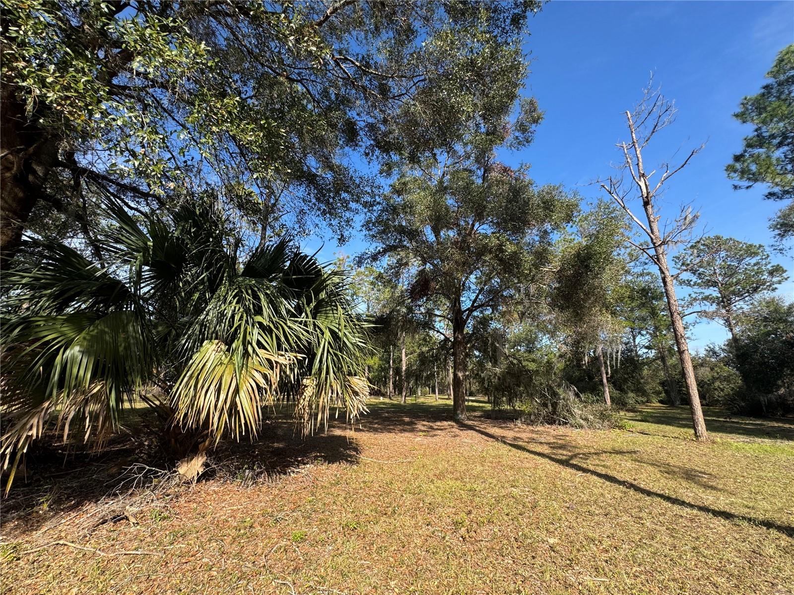 LOT 51 BOSMARA DR, GROVELAND, FL, 34736