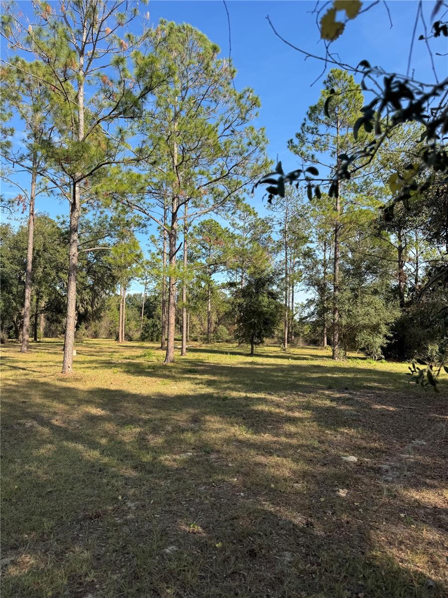 LOT 51 BOSMARA DR, GROVELAND, FL, 34736