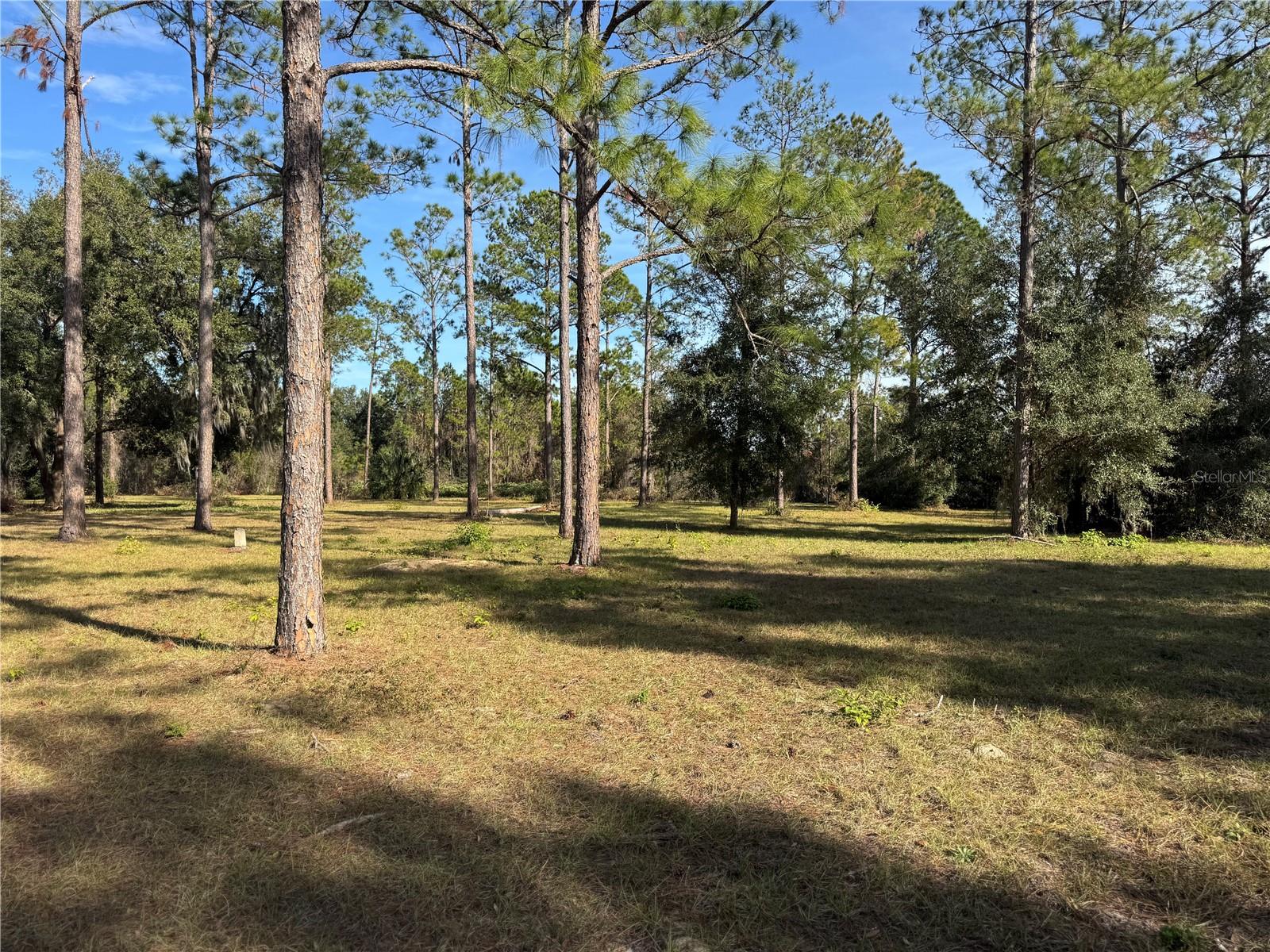 LOT 51 BOSMARA DR, GROVELAND, FL, 34736