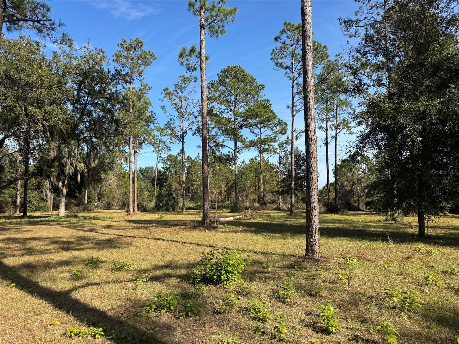 LOT 51 BOSMARA DR, GROVELAND, FL, 34736