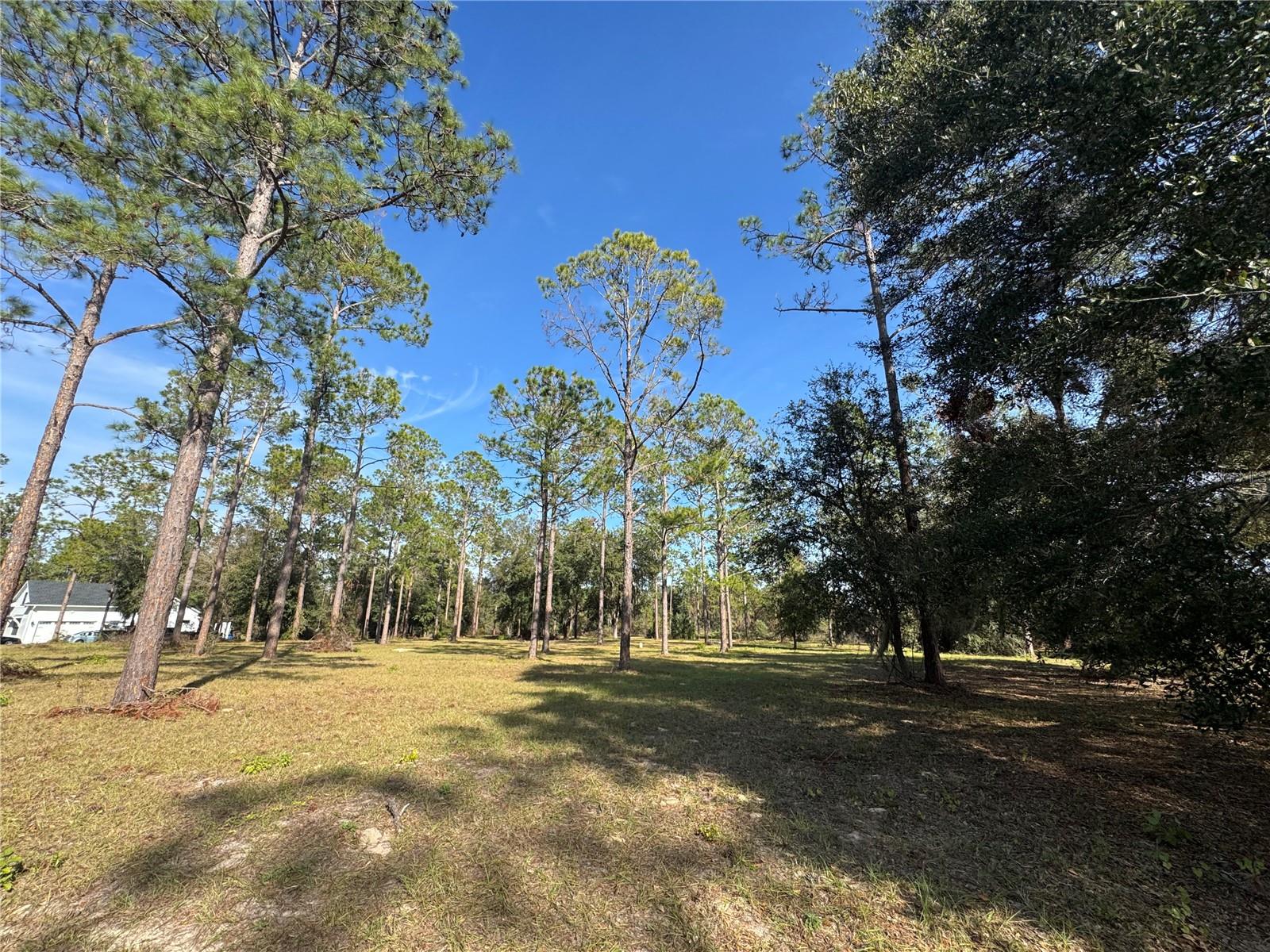 LOT 51 BOSMARA DR, GROVELAND, FL, 34736