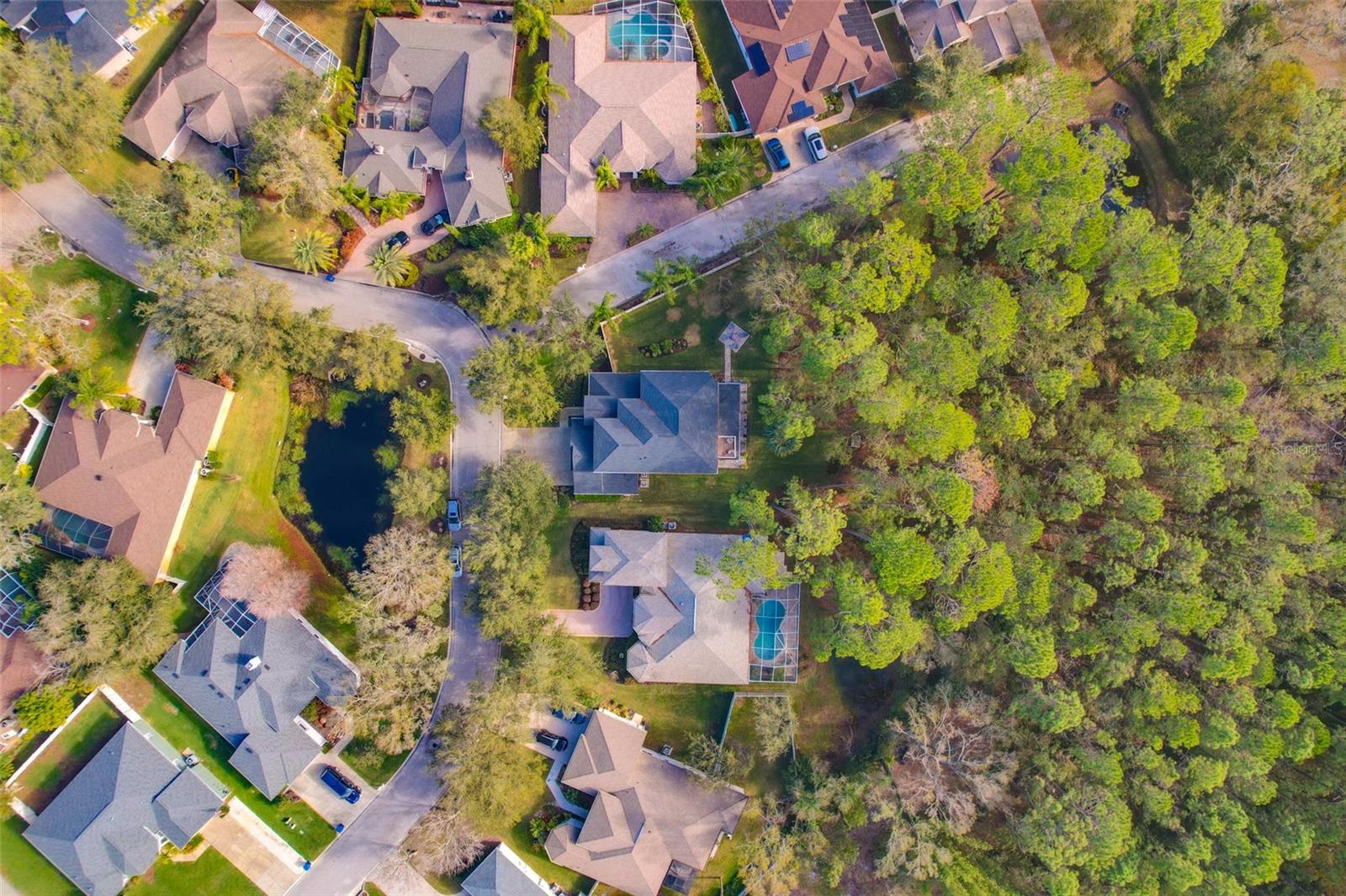 1748 HIGHLAND OAKS BLVD, LUTZ, FL, 33559