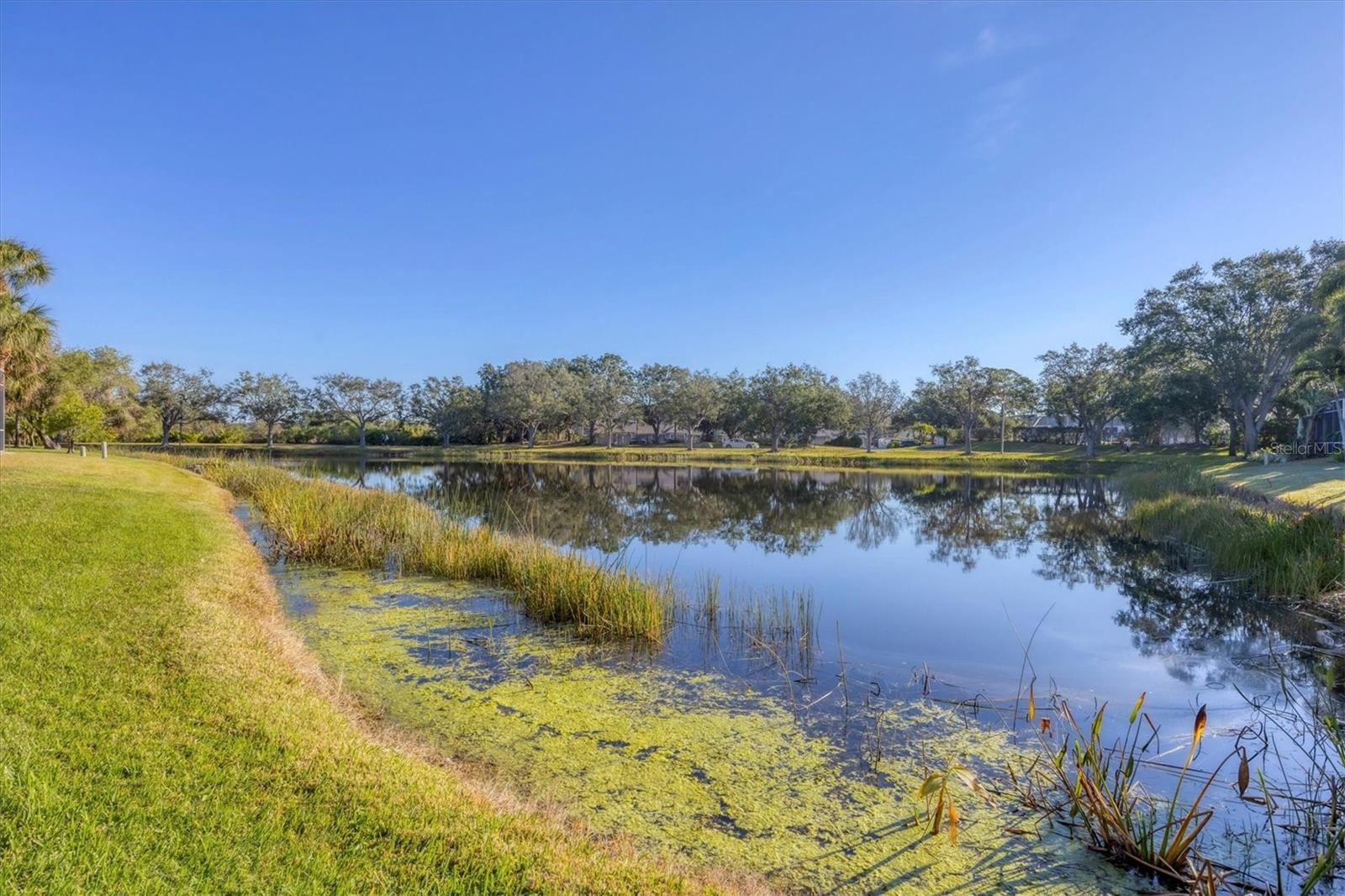 8937 OLDE HICKORY AVE, SARASOTA, FL, 34238