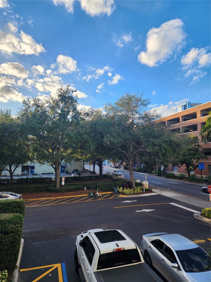 202 E SOUTH ST #1050, ORLANDO, FL, 32801