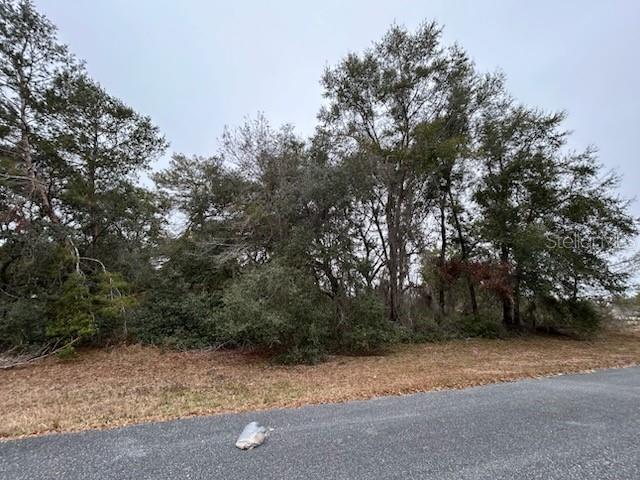 TBD SW 164TH PLACE RD, OCALA, FL, 34473