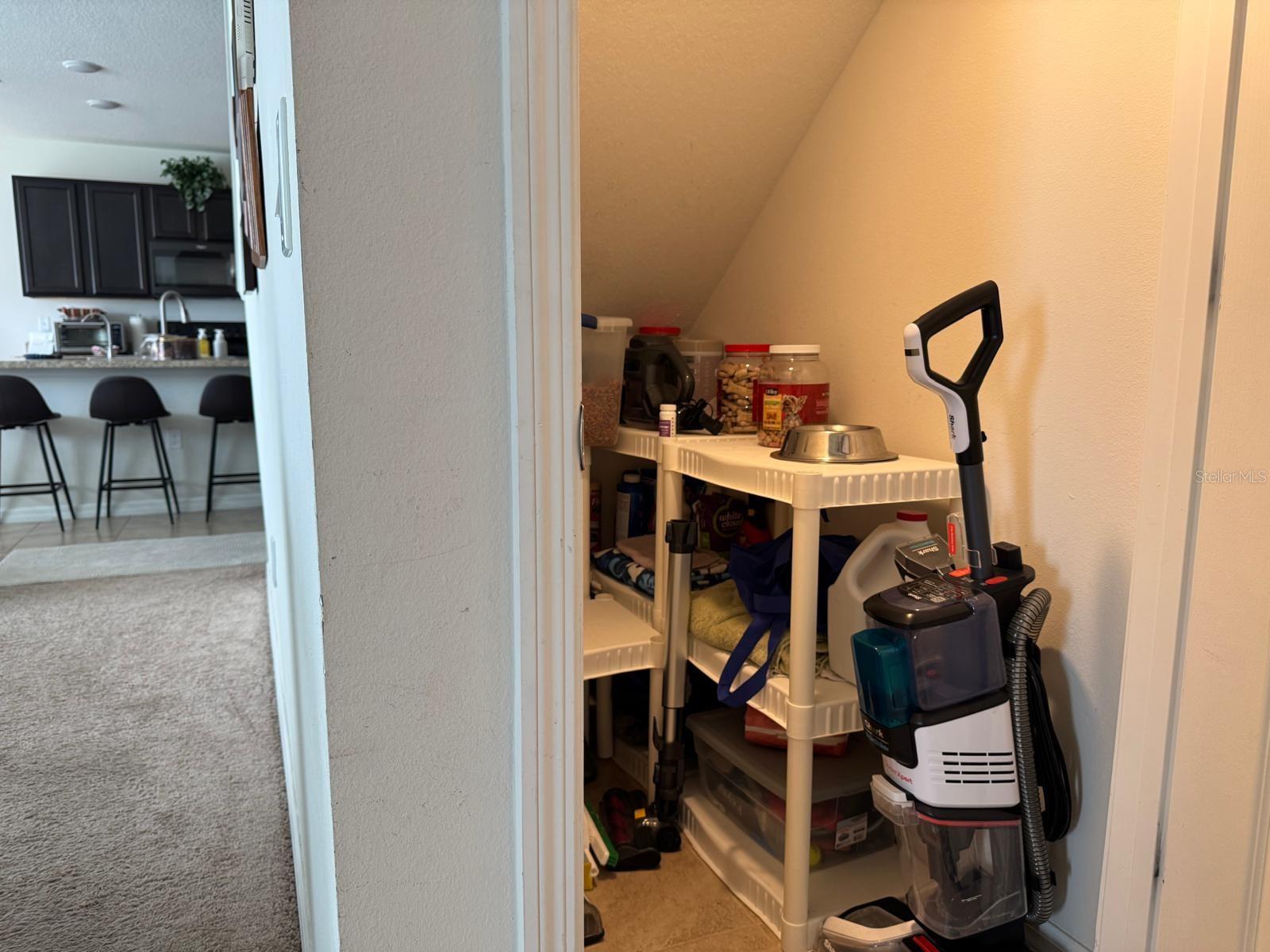 1024 BETHPAGE RD, AUBURNDALE, FL, 33823