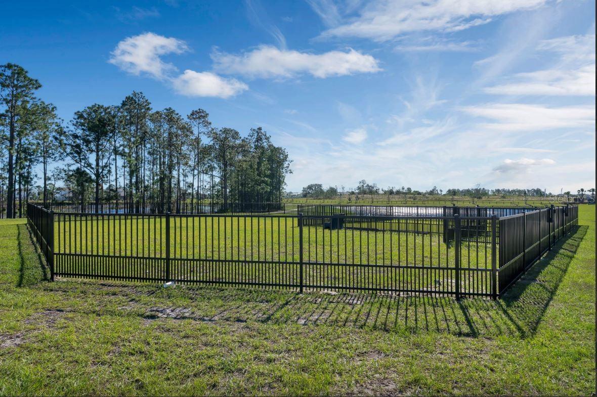 13552 AUTUMN HARVEST AVE, WINTER GARDEN, FL, 34787