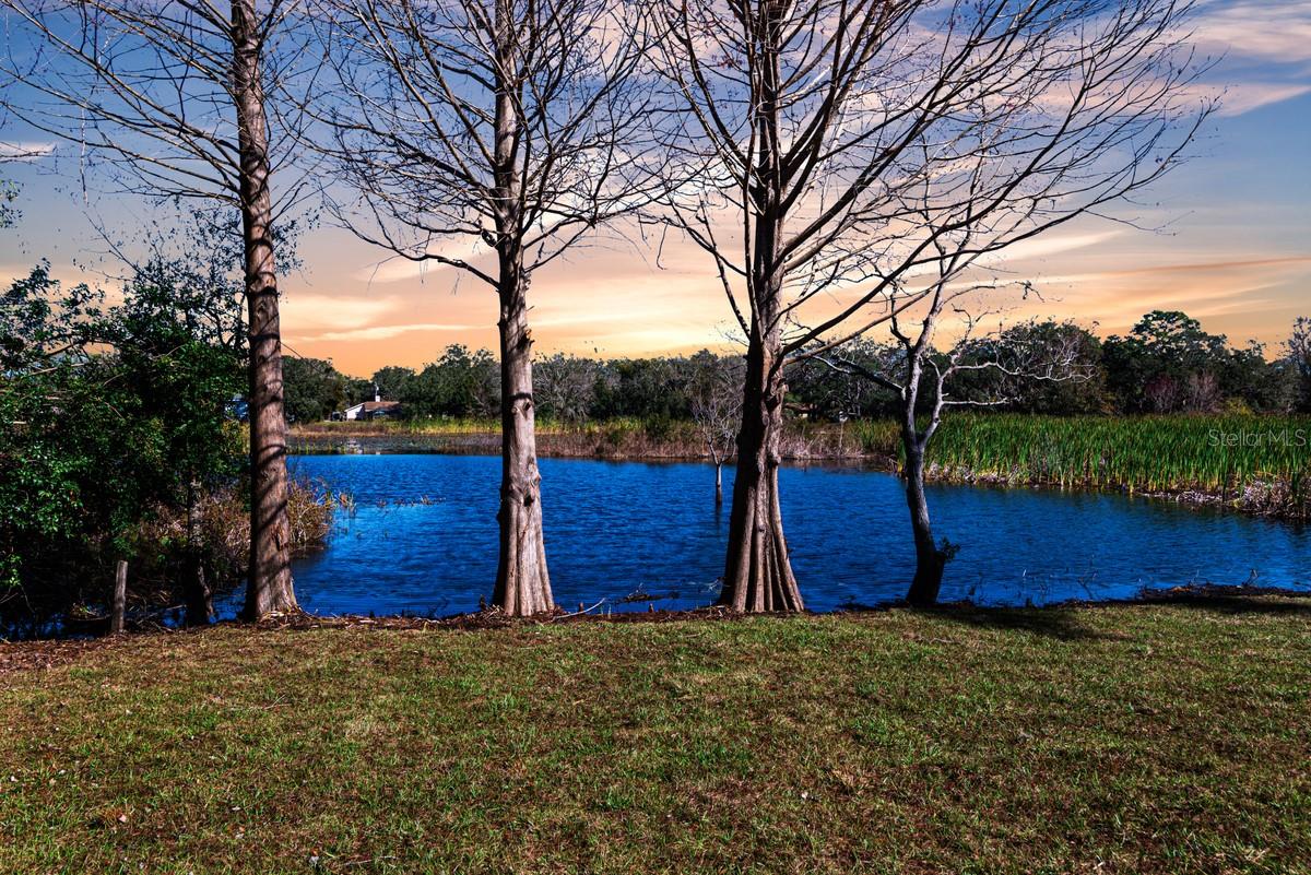 11416 PINE FOREST DR, NEW PORT RICHEY, FL, 34654