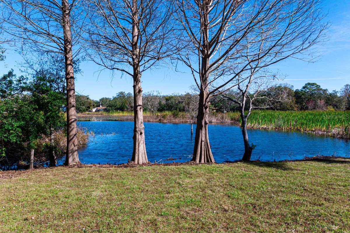 11416 PINE FOREST DR, NEW PORT RICHEY, FL, 34654