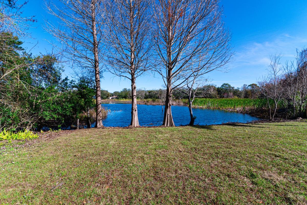 11416 PINE FOREST DR, NEW PORT RICHEY, FL, 34654