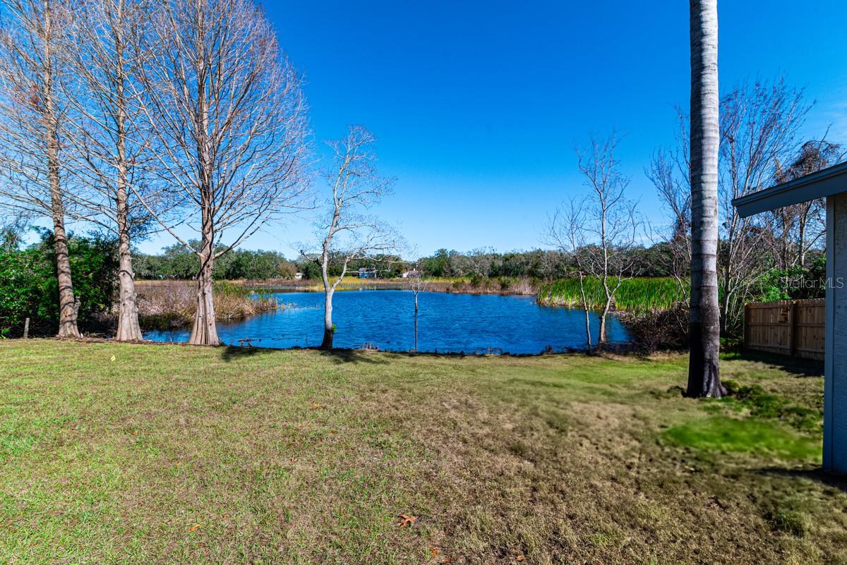 11416 PINE FOREST DR, NEW PORT RICHEY, FL, 34654