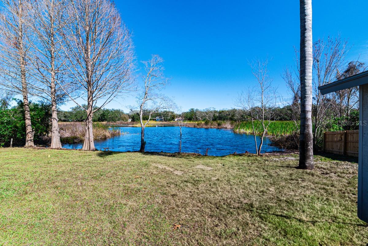 11416 PINE FOREST DR, NEW PORT RICHEY, FL, 34654