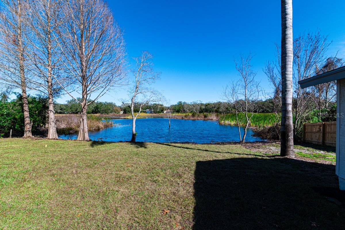 11416 PINE FOREST DR, NEW PORT RICHEY, FL, 34654