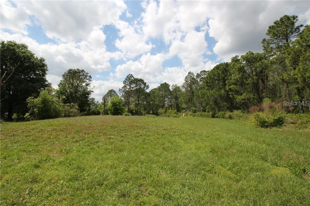 8652 CROSS CREEK RD, POLK CITY, FL, 33868