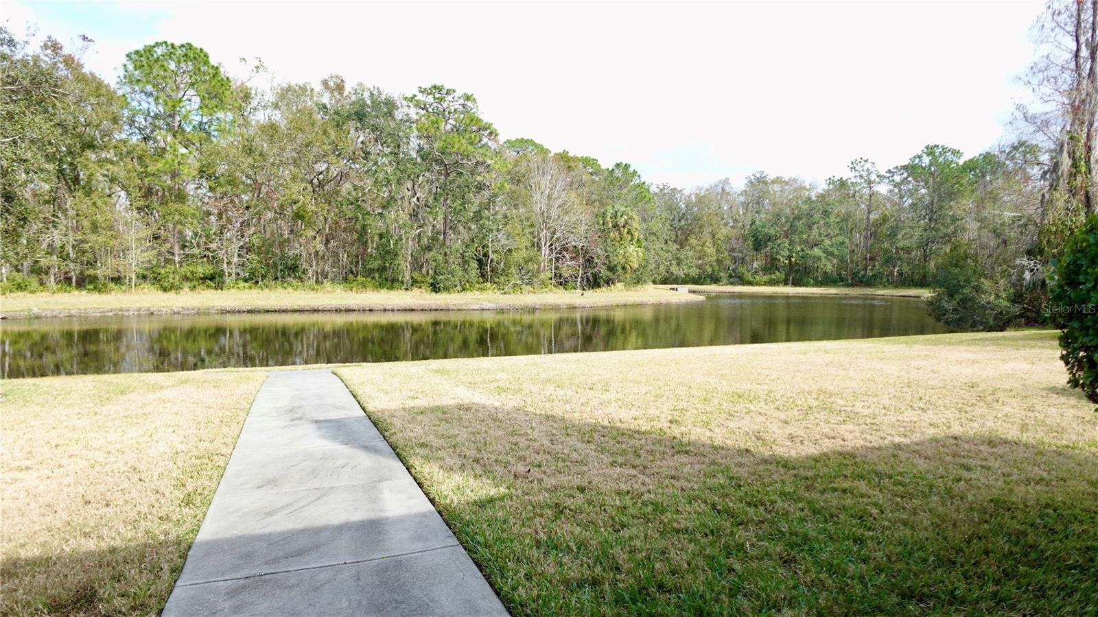 29120 RIVERGATE RUN, WESLEY CHAPEL, FL, 33543