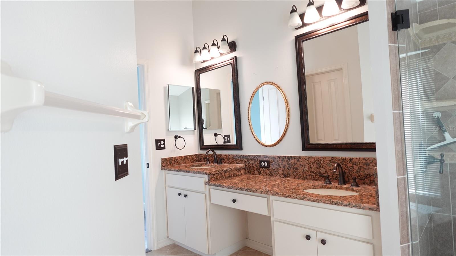 29120 RIVERGATE RUN, WESLEY CHAPEL, FL, 33543