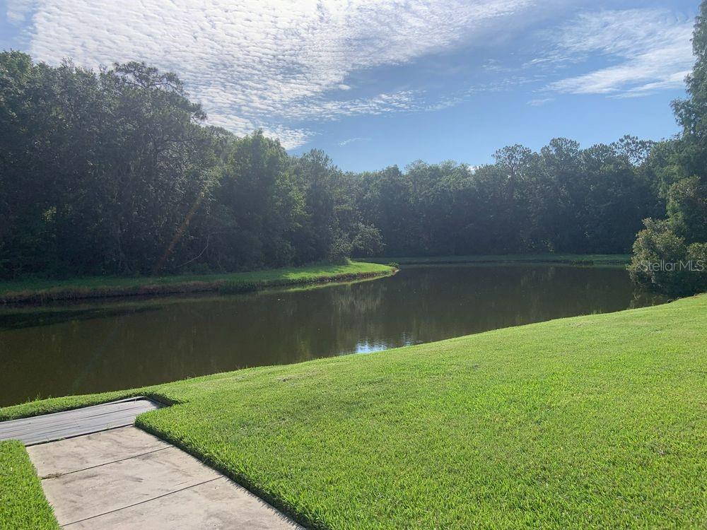 29120 RIVERGATE RUN, WESLEY CHAPEL, FL, 33543