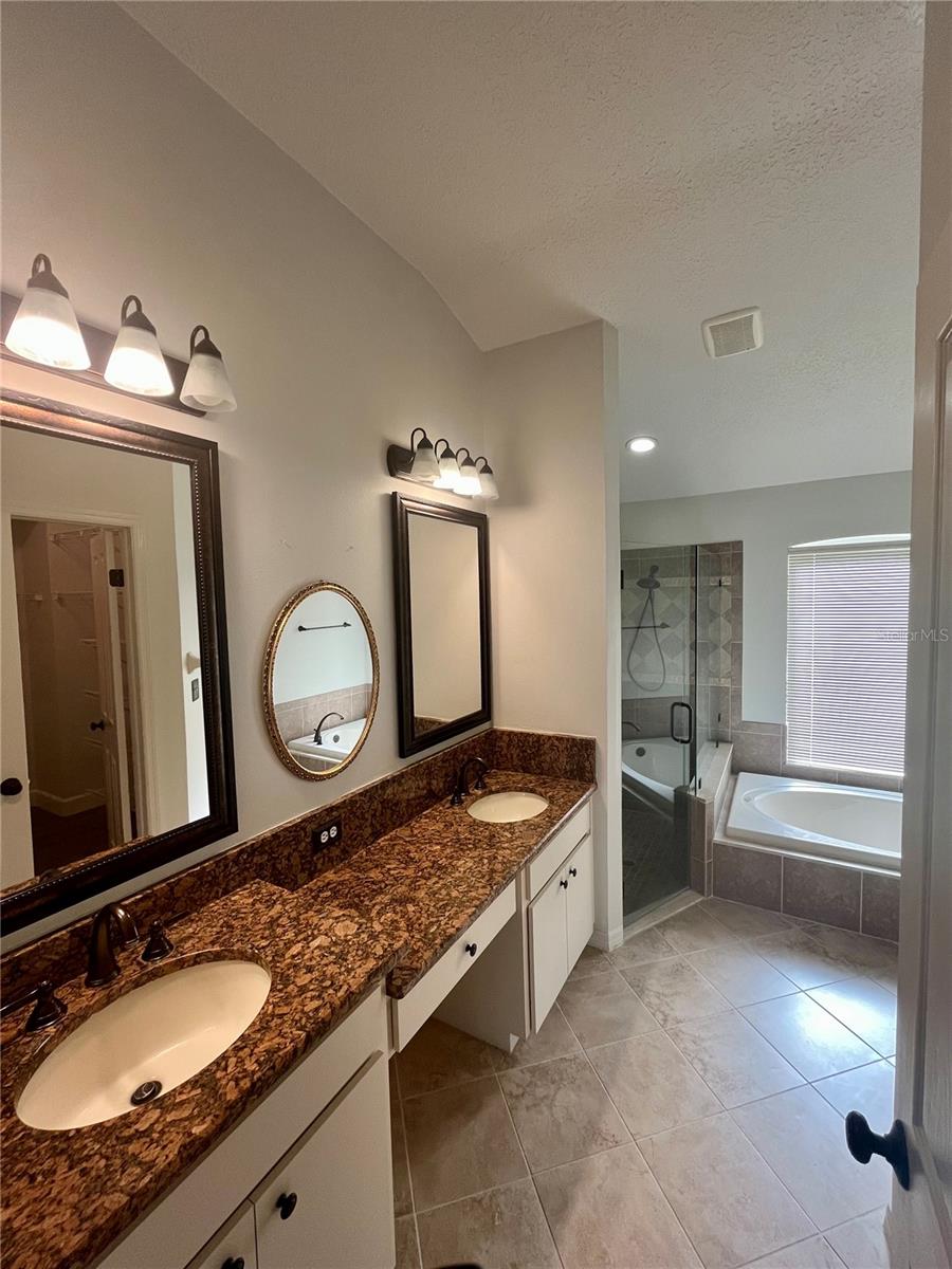 29120 RIVERGATE RUN, WESLEY CHAPEL, FL, 33543
