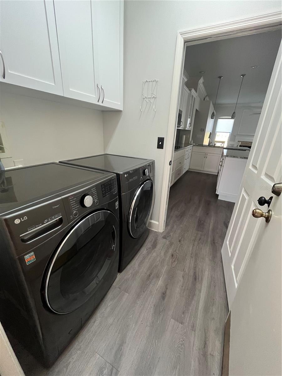 29120 RIVERGATE RUN, WESLEY CHAPEL, FL, 33543