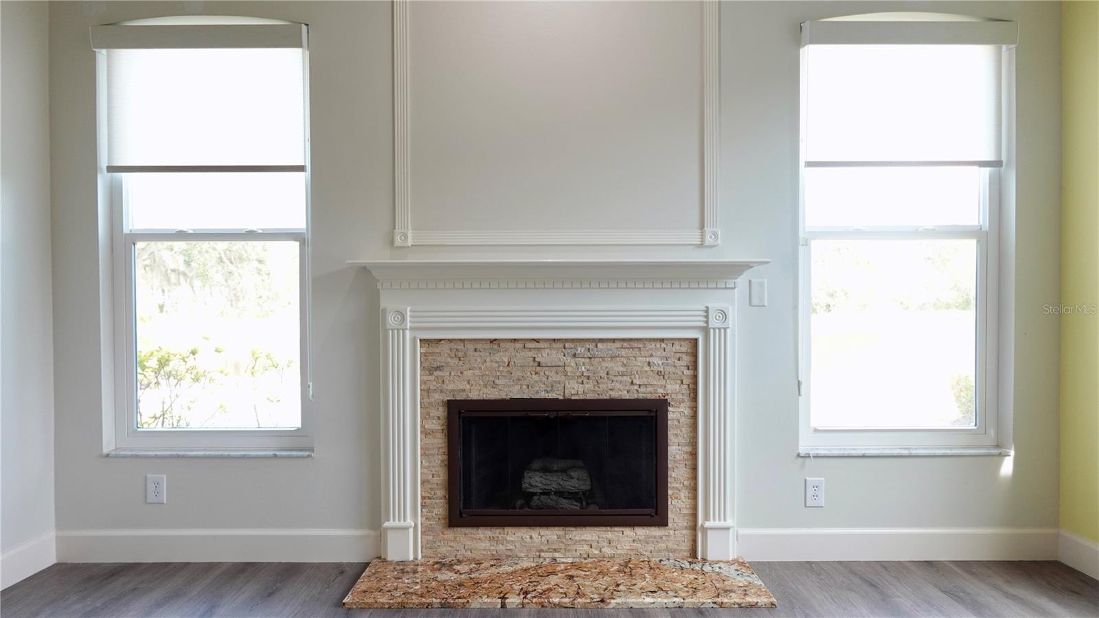 29120 RIVERGATE RUN, WESLEY CHAPEL, FL, 33543