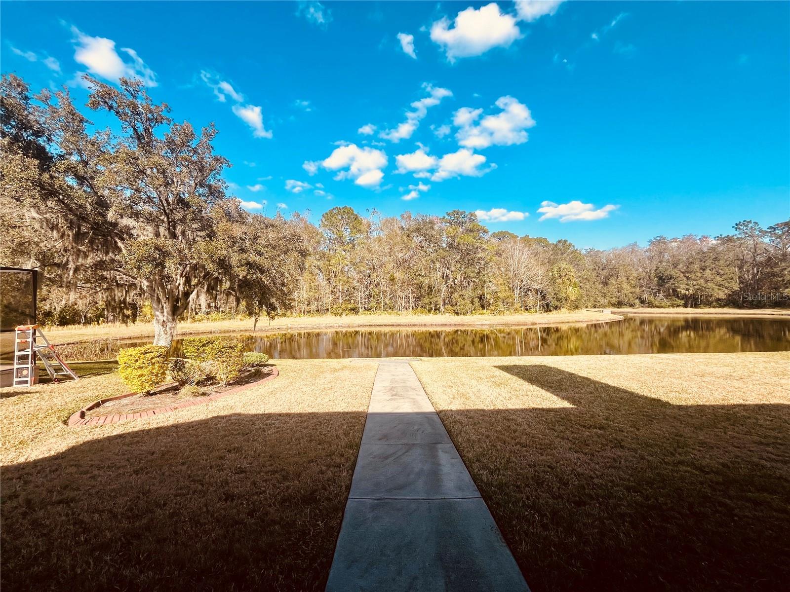 29120 RIVERGATE RUN, WESLEY CHAPEL, FL, 33543