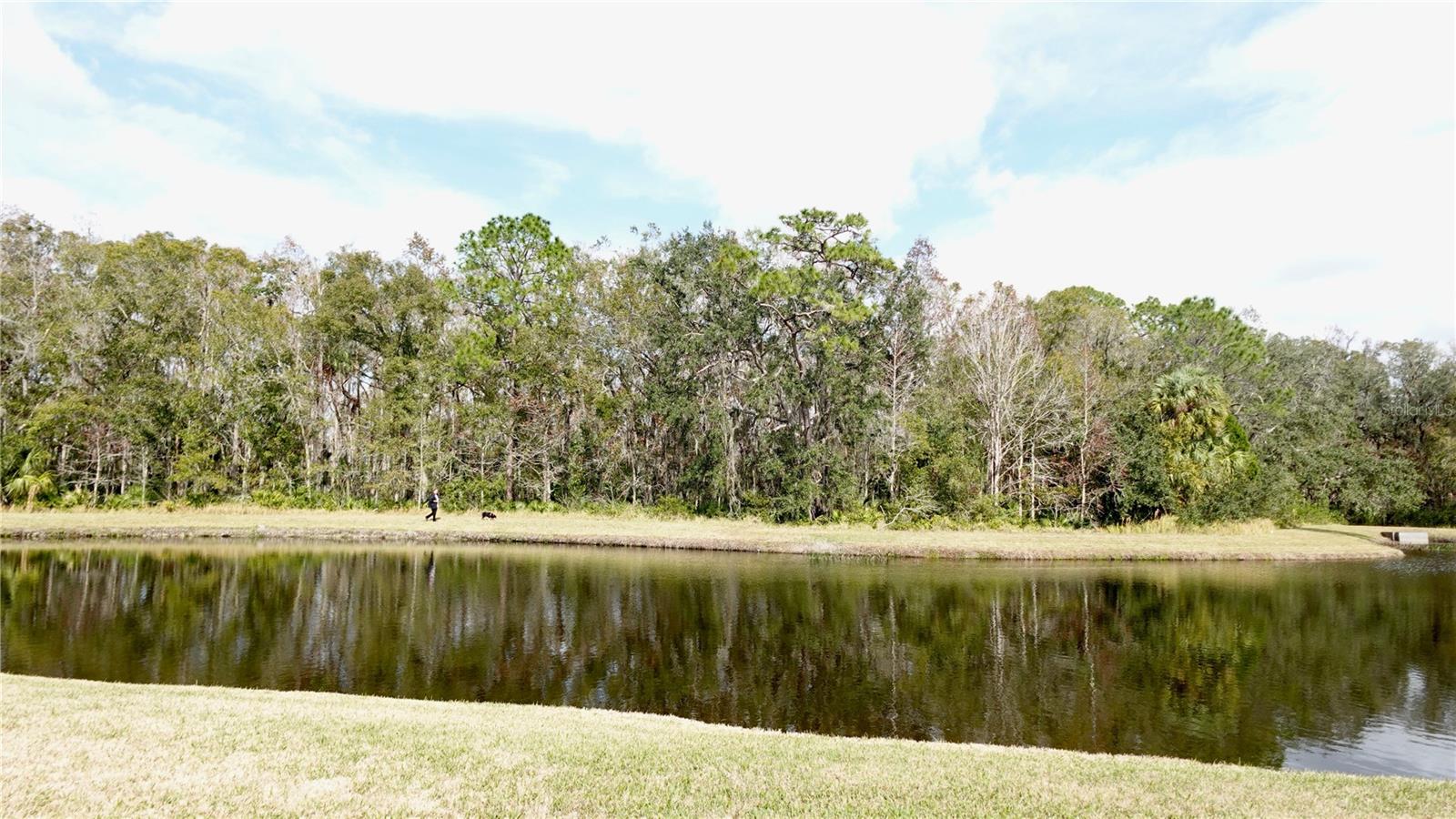 29120 RIVERGATE RUN, WESLEY CHAPEL, FL, 33543