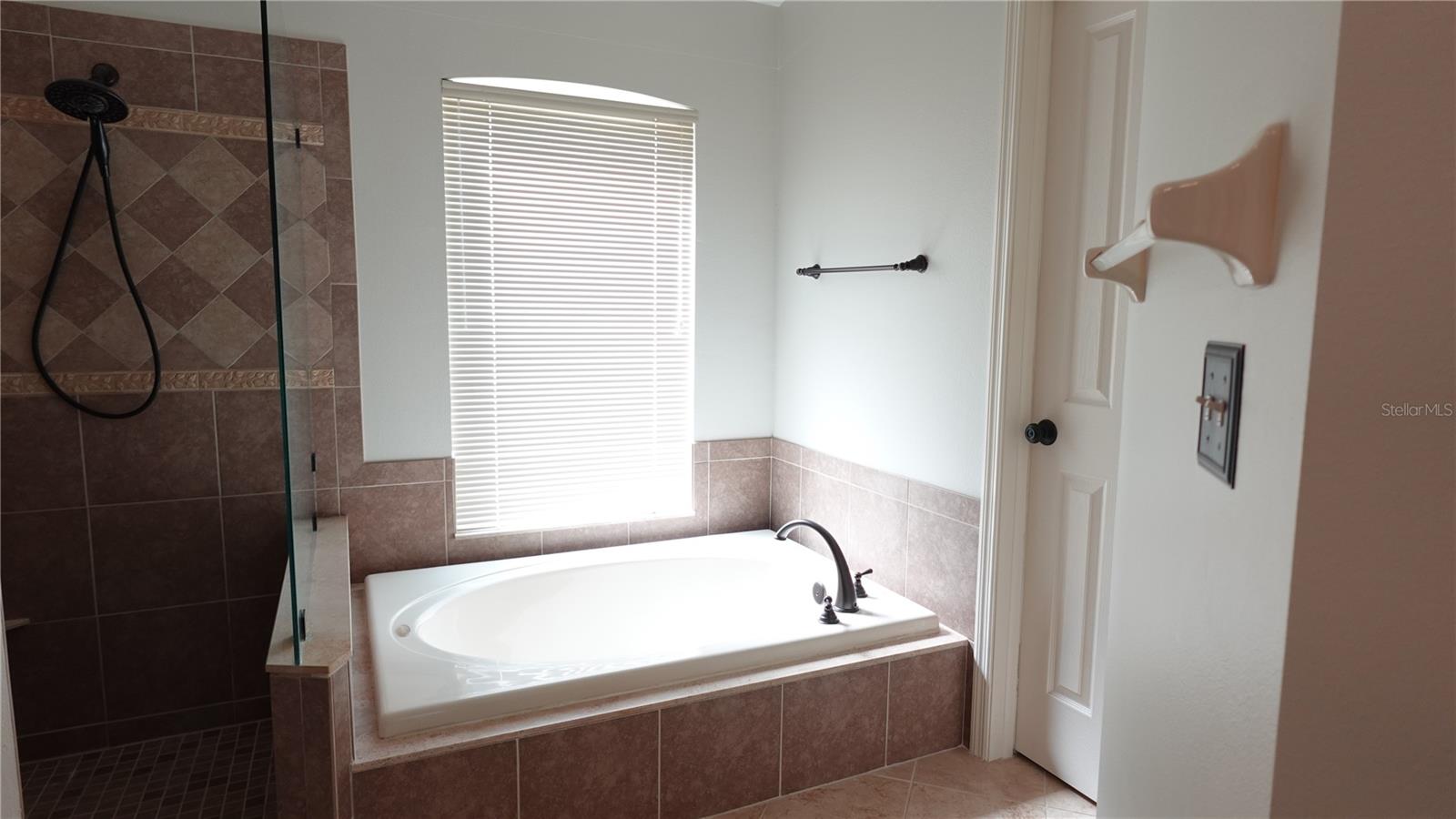 29120 RIVERGATE RUN, WESLEY CHAPEL, FL, 33543