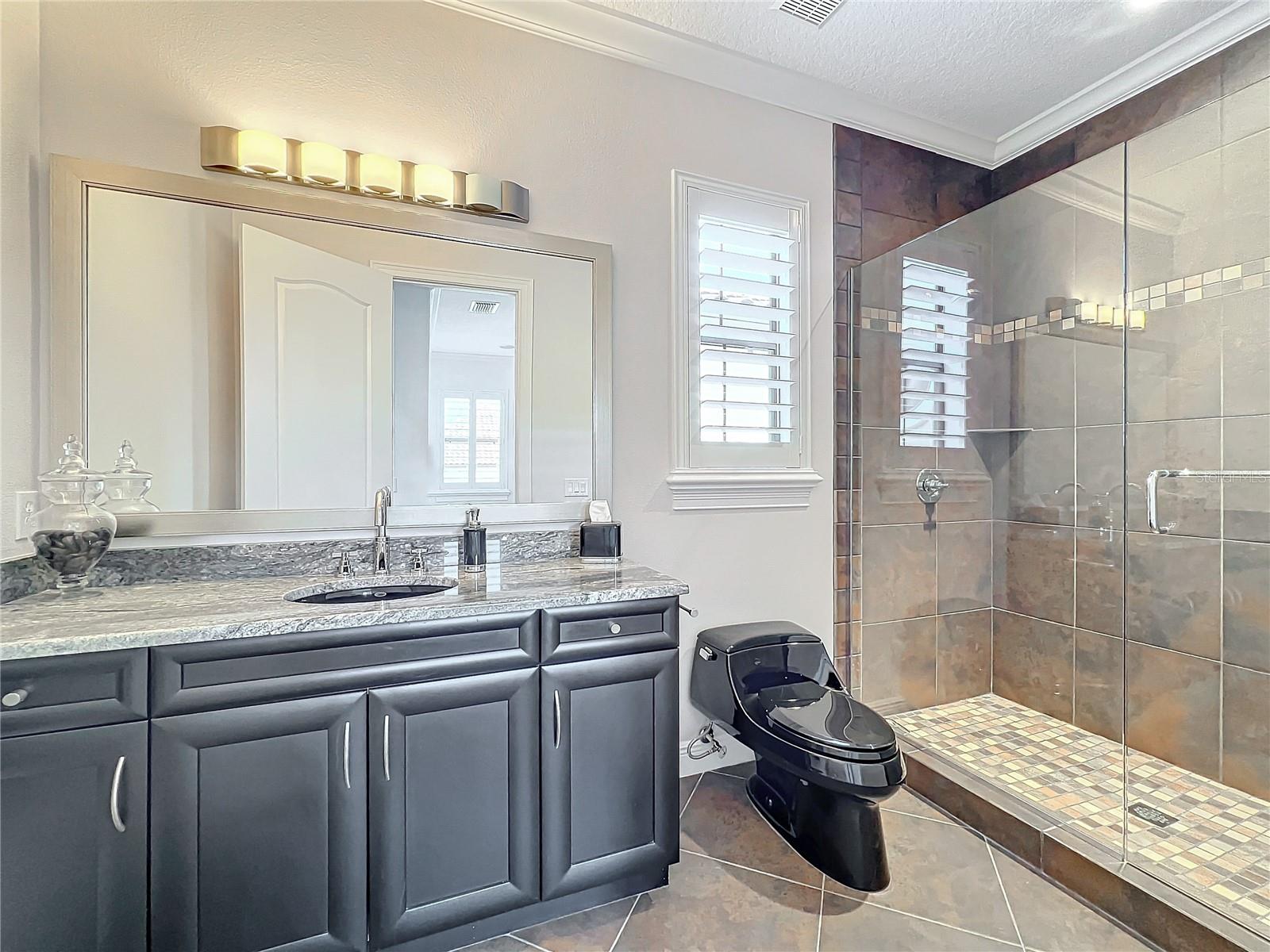 12812 JACOB GRACE CT, WINDERMERE, FL, 34786