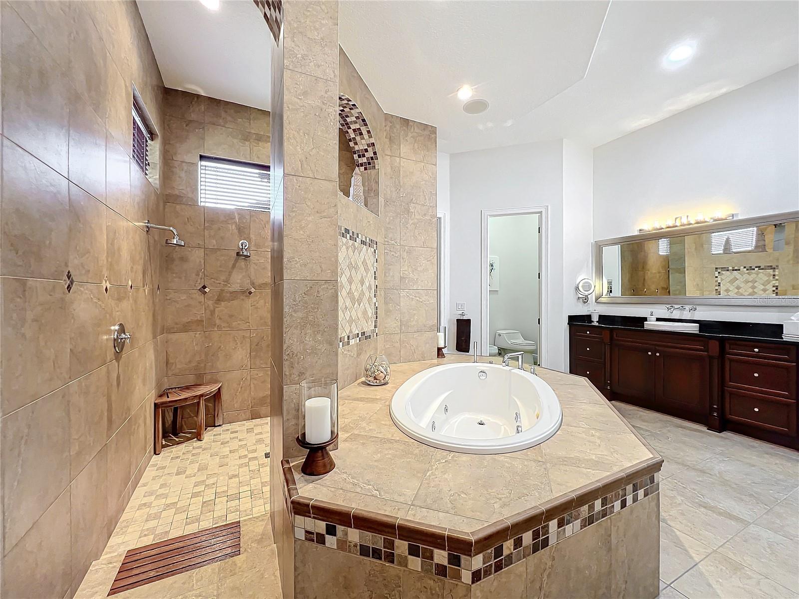 12812 JACOB GRACE CT, WINDERMERE, FL, 34786