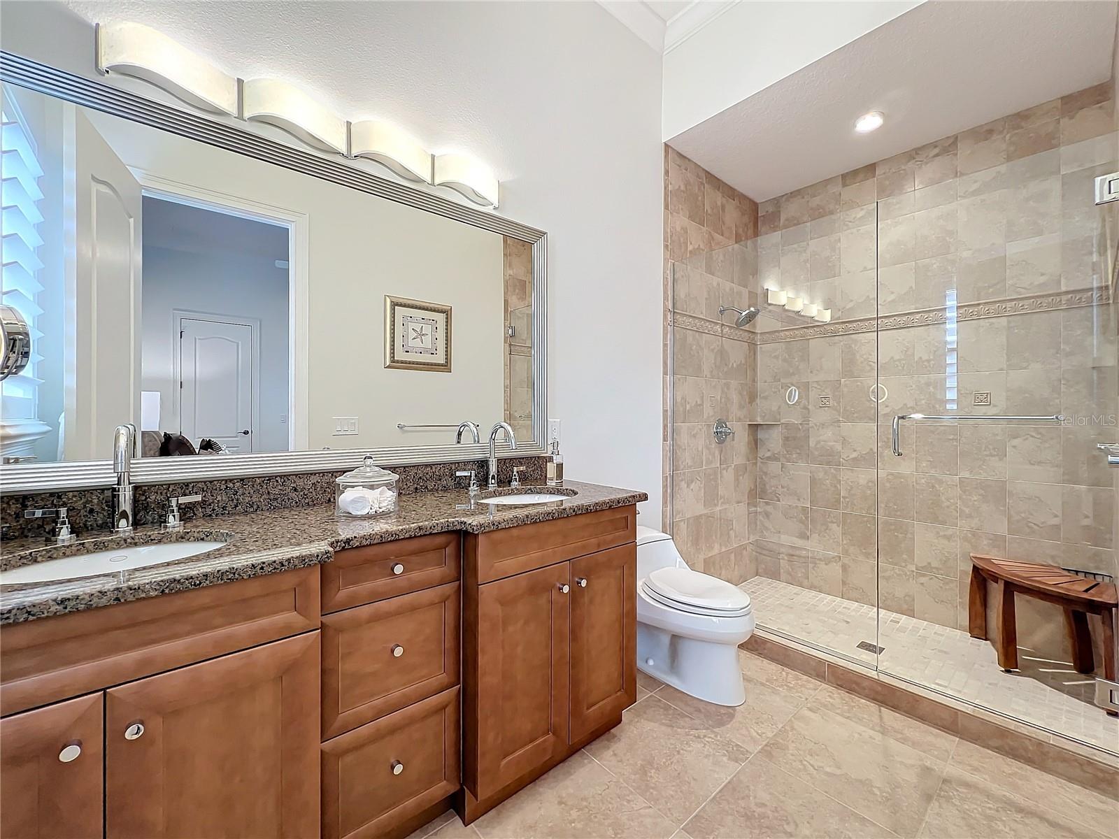 12812 JACOB GRACE CT, WINDERMERE, FL, 34786