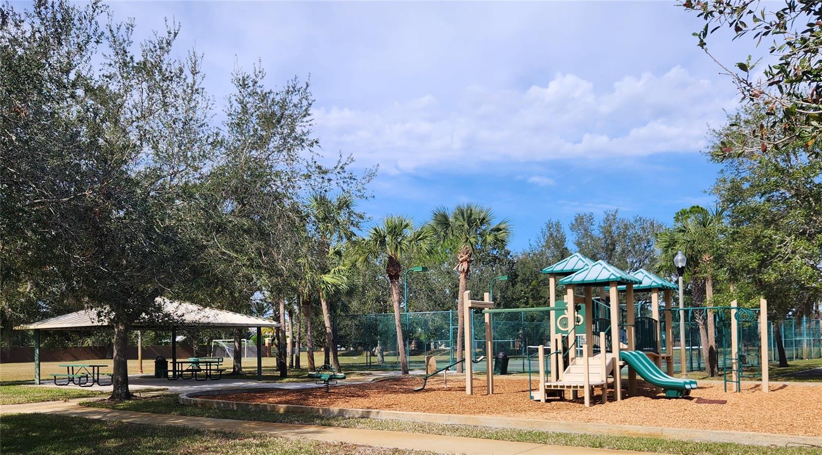 12812 JACOB GRACE CT, WINDERMERE, FL, 34786