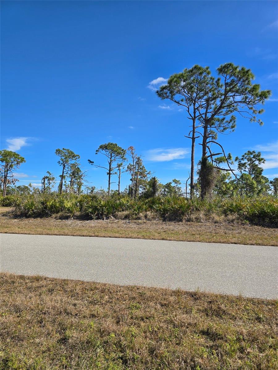 13 PENNANT CT, PLACIDA, FL, 33946