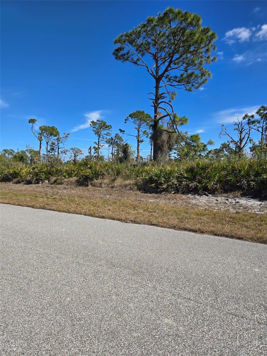 13 PENNANT CT, PLACIDA, FL, 33946