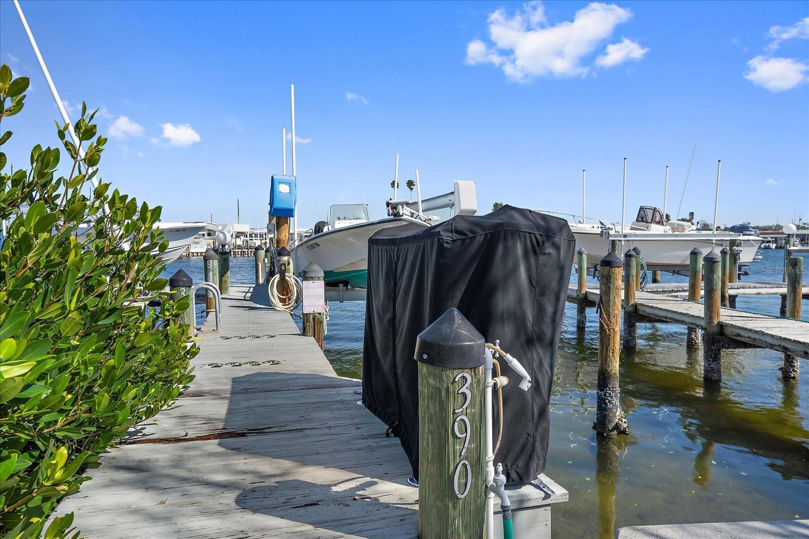 390 BIMINI DR, PALMETTO, FL, 34221